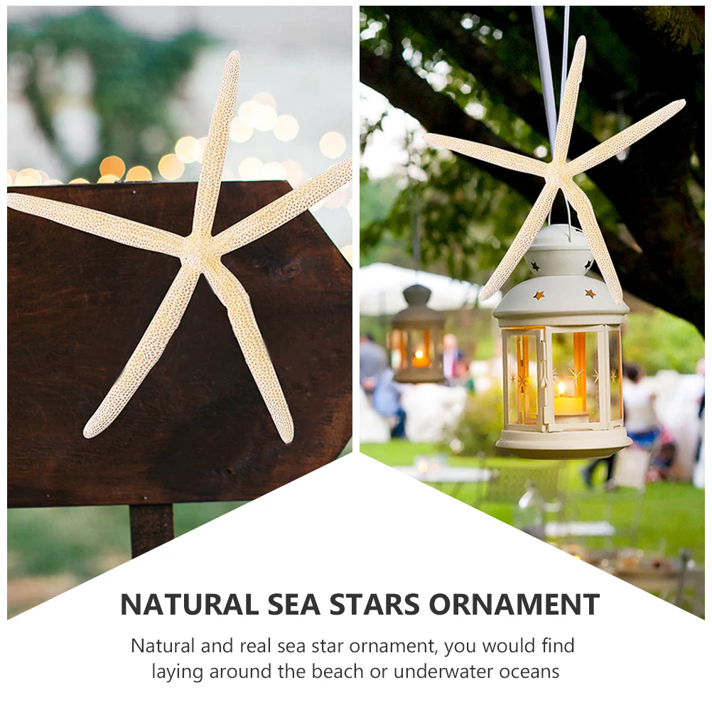 

2Pcs Sea Star Props Natural Decoration Wedding Birthday Party Favors Nautical Sea Star Ornament