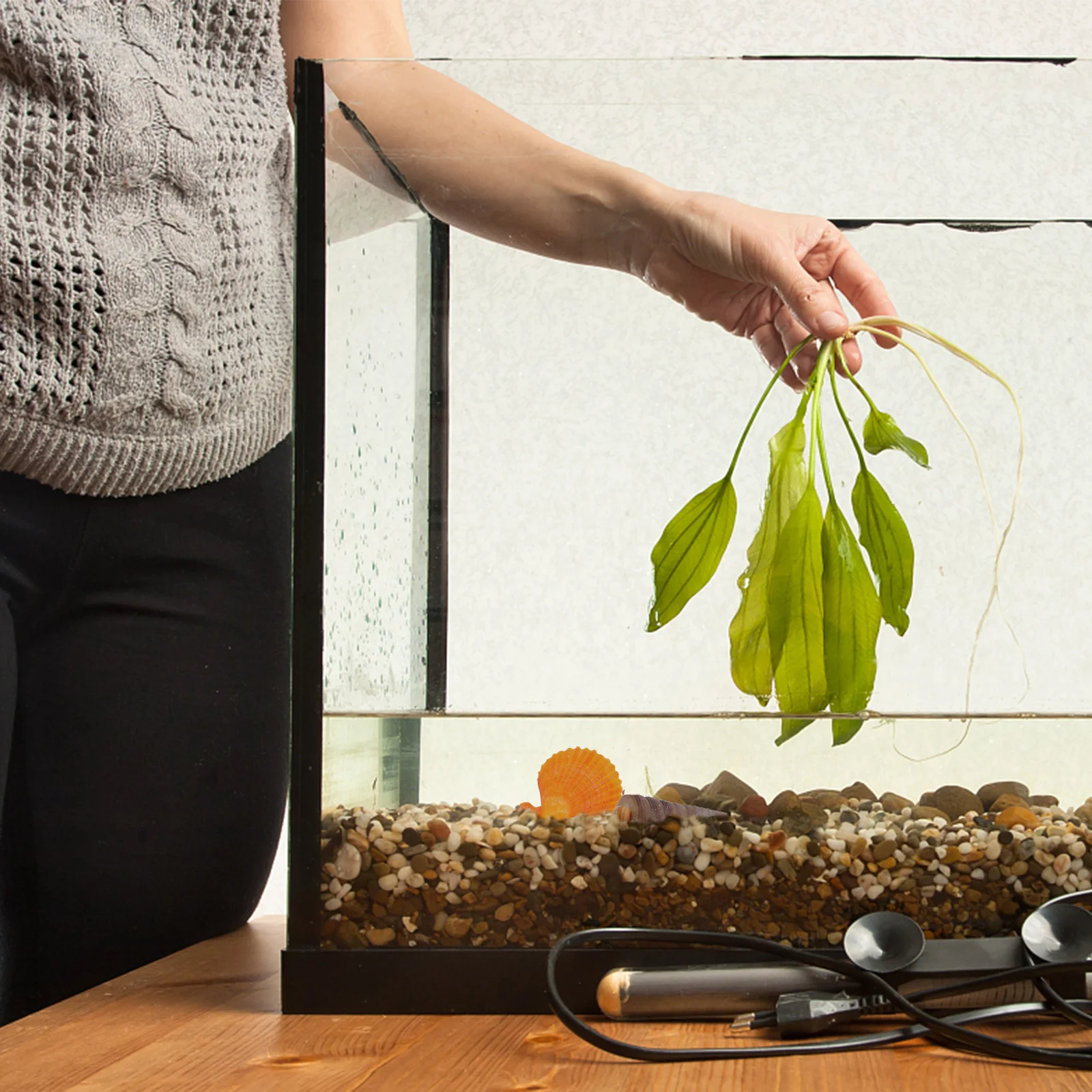 

Lovely Shell Decor for Fish Tanks Romantic Underwater World Landscape DIY Vase Fillers Excellent Aquarium Ornaments