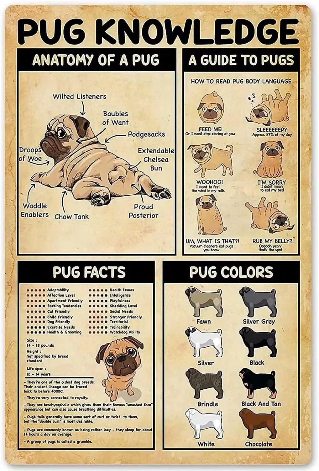 Pug Knowledge – plaque murale en métal « Anatomy Of A Pug », affiche amusante pour l'éducation scolaire, café, salon, cuisine, salle de bain, décoration murale artistique pour la maison