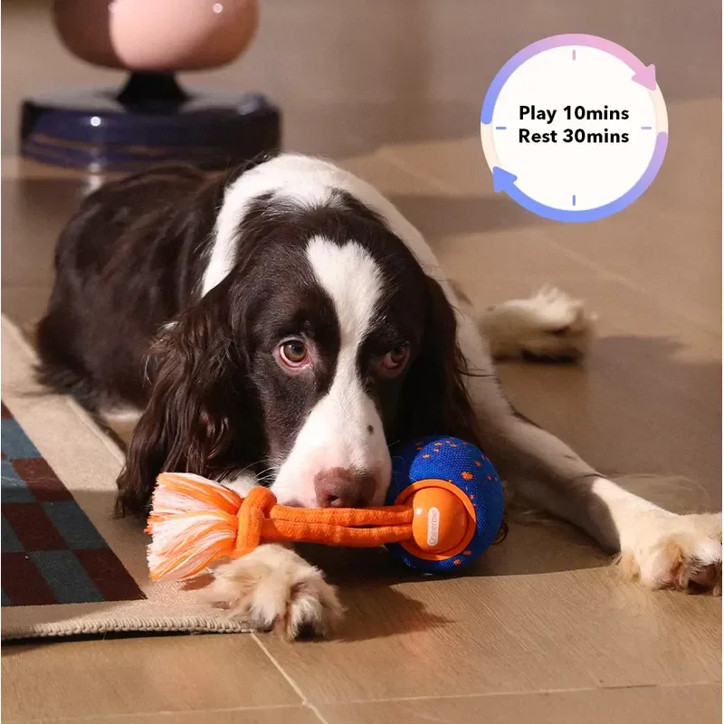 Cheerble E-TPU Active Smart Interactive Dog Toy Wicked Ball Rolly Automatic Moving Bouncing Rotating for Medium and Large