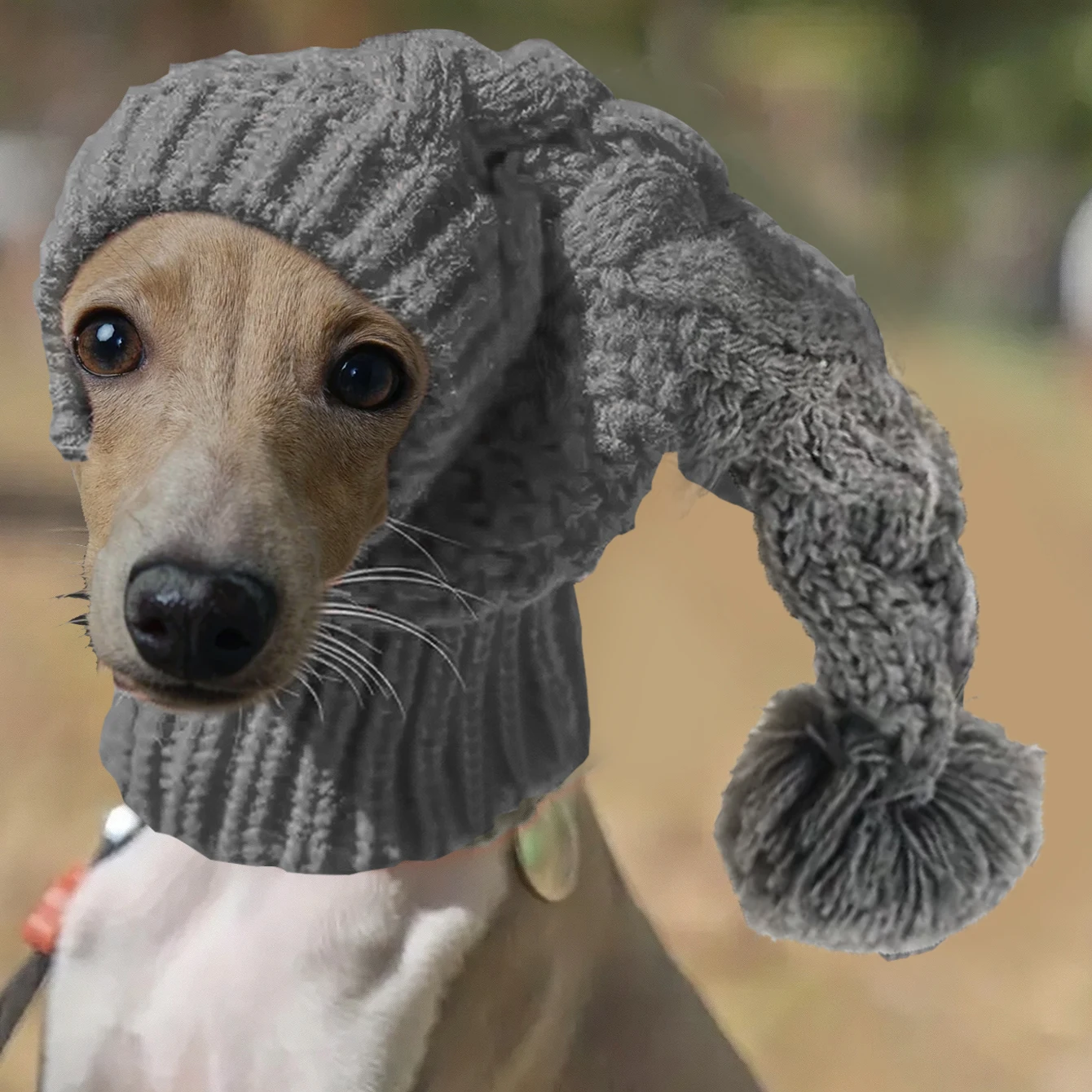 Hand knit winter wool greyhound large dog beanie hat dog accessories whippet snood for dogs