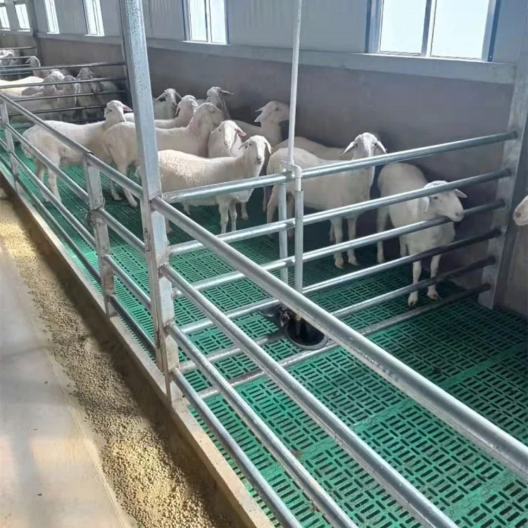 1000*500mm Sheep Farm Plastic Goat Slatted Flooring Plastic Slat Floor For Goat Shed Farm