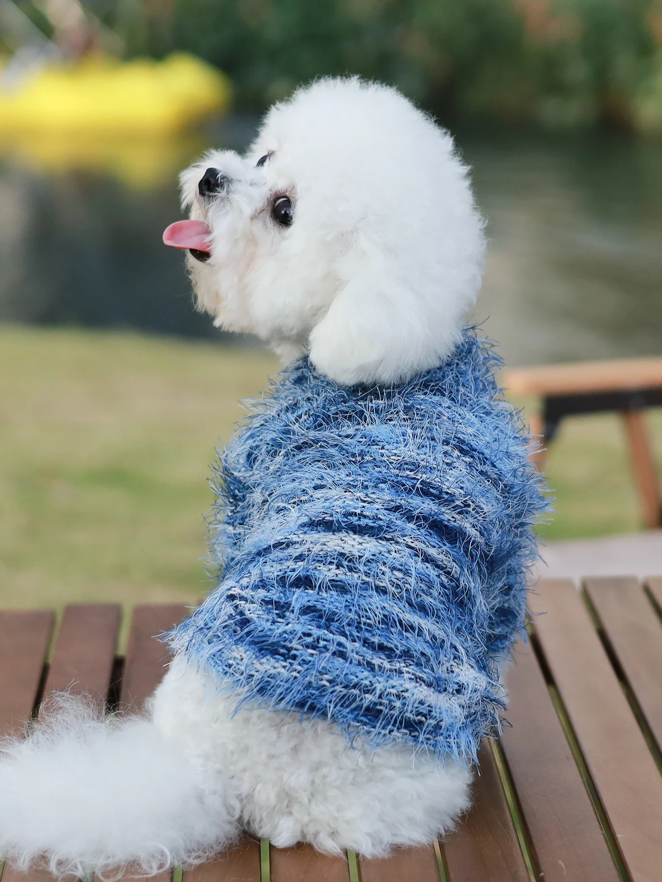 Thumbnail 3 - #18 Compare Dog Jumpers Before You Buy