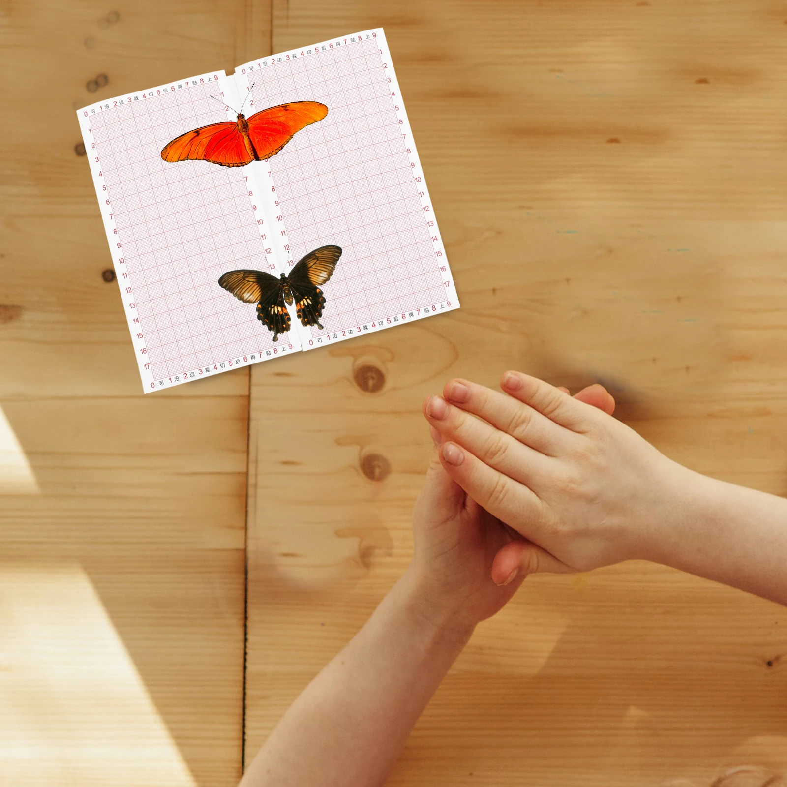 

14x14cm EVA Insect Spreading Board Lightweight Specimen Pinning Plate for Butterfly Wings Drying Teaching Tool Portable Insect
