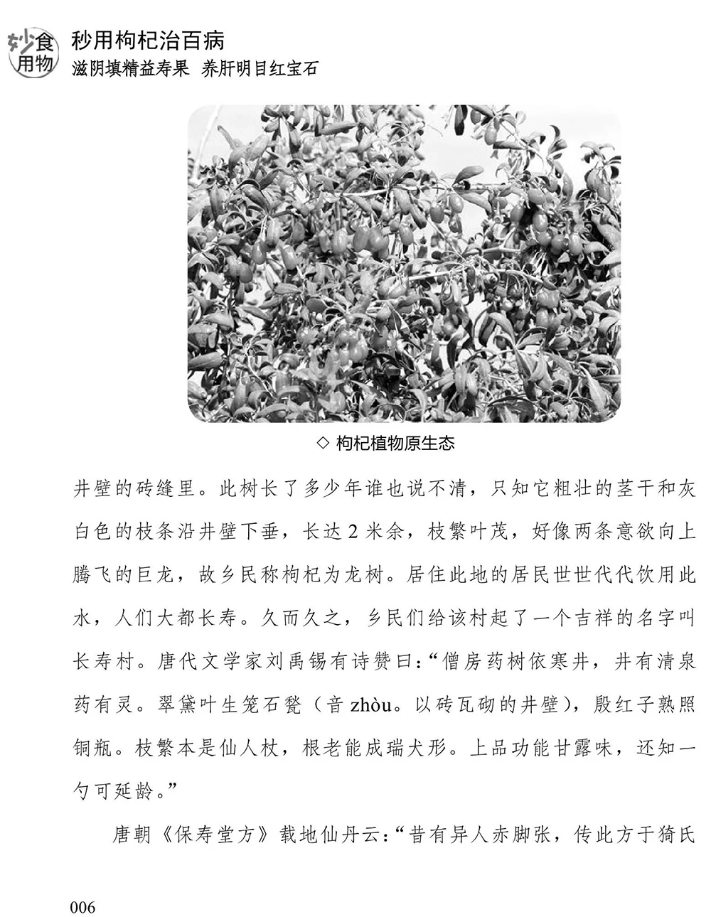 薬用ハーブの包括的なガイド、ゴジベリーの奇跡の健康上の利点、健康と自然のガイドブック