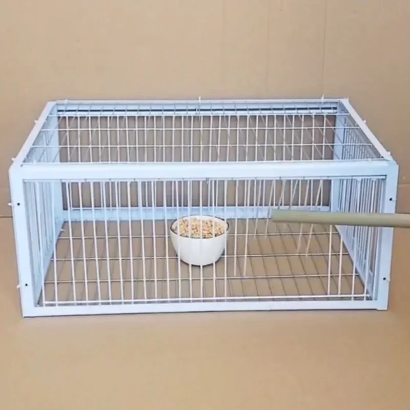 Mid Foldable Galvanised Pigeon Bird Trap Cage Feral Pigeon humane way with the one-way entrance Trapping Pigeons doves In Cages