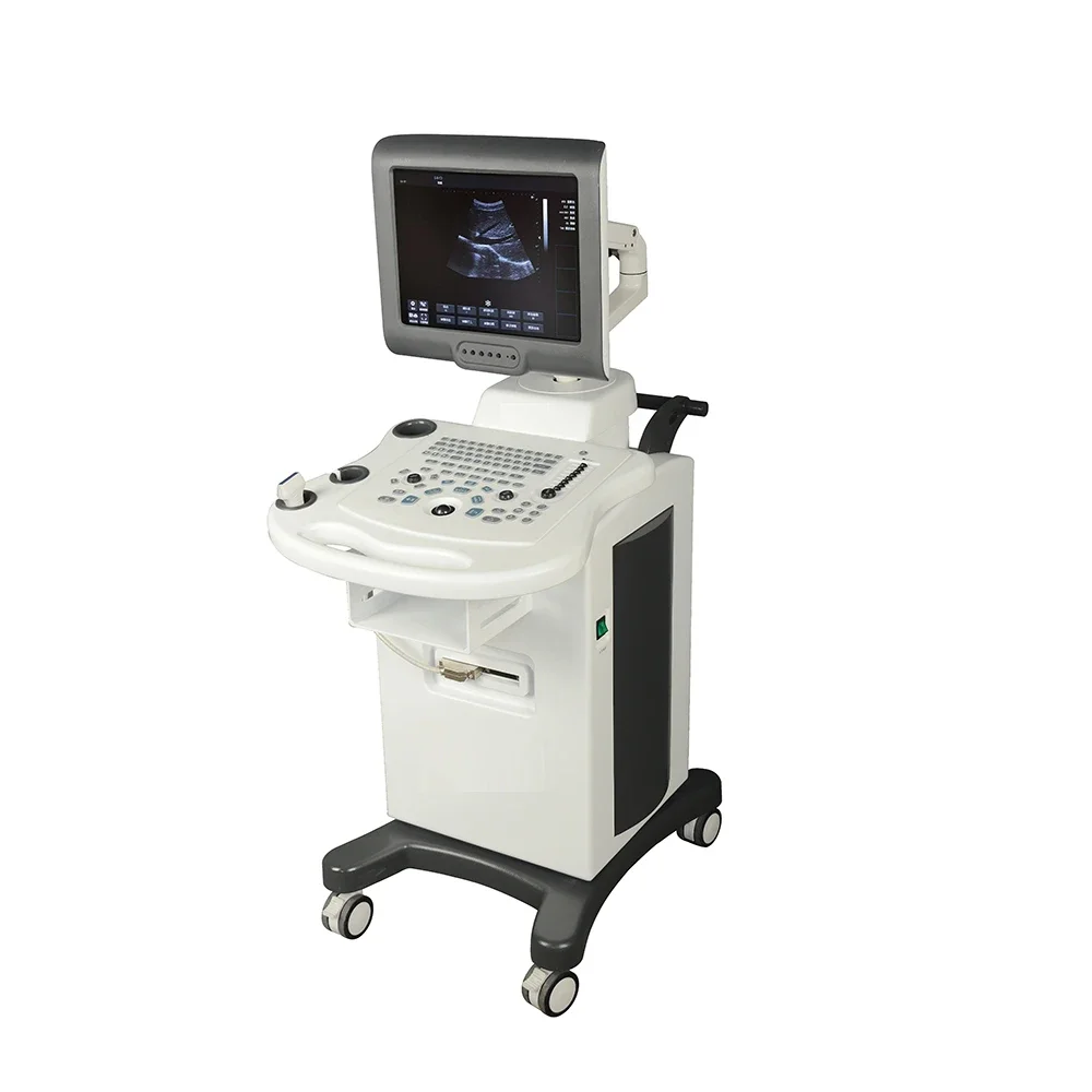 Factory Price High Quality 4D Portable Ultrasound Machine Color Doppler Ultrasound Machine With Probe Medical Equipment