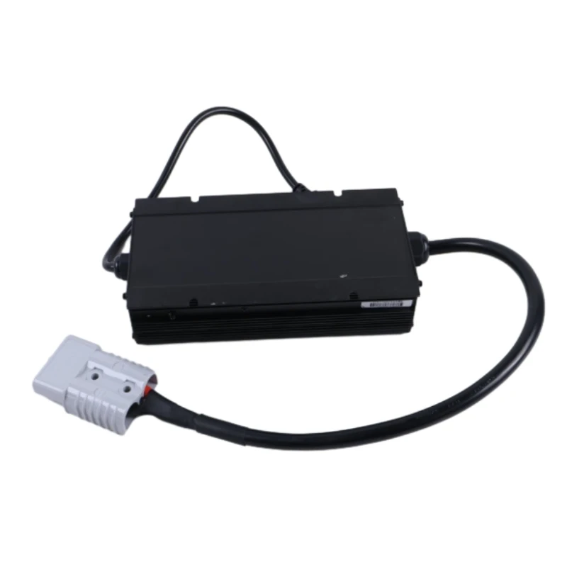 Replacement Forklift Parts 25A 110V Battery Charger 1120-560000-00-01 11205600000001 for Big Joe Balance Stacker CB22