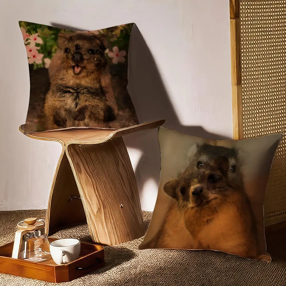 Anime Cute Rock Hyrax Animal Pillow Case Anti-dustmite Pillowcase Invisible Zipper Silky Short Plush Sofa Cushion Cover