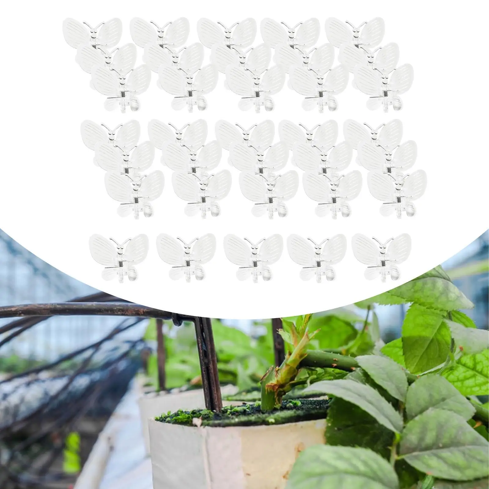 50 Pieces Orchid Clips Plants Support Clips Creative Lightweight Supporting Grow Upright Reusable for Vegetables Vines Tomato