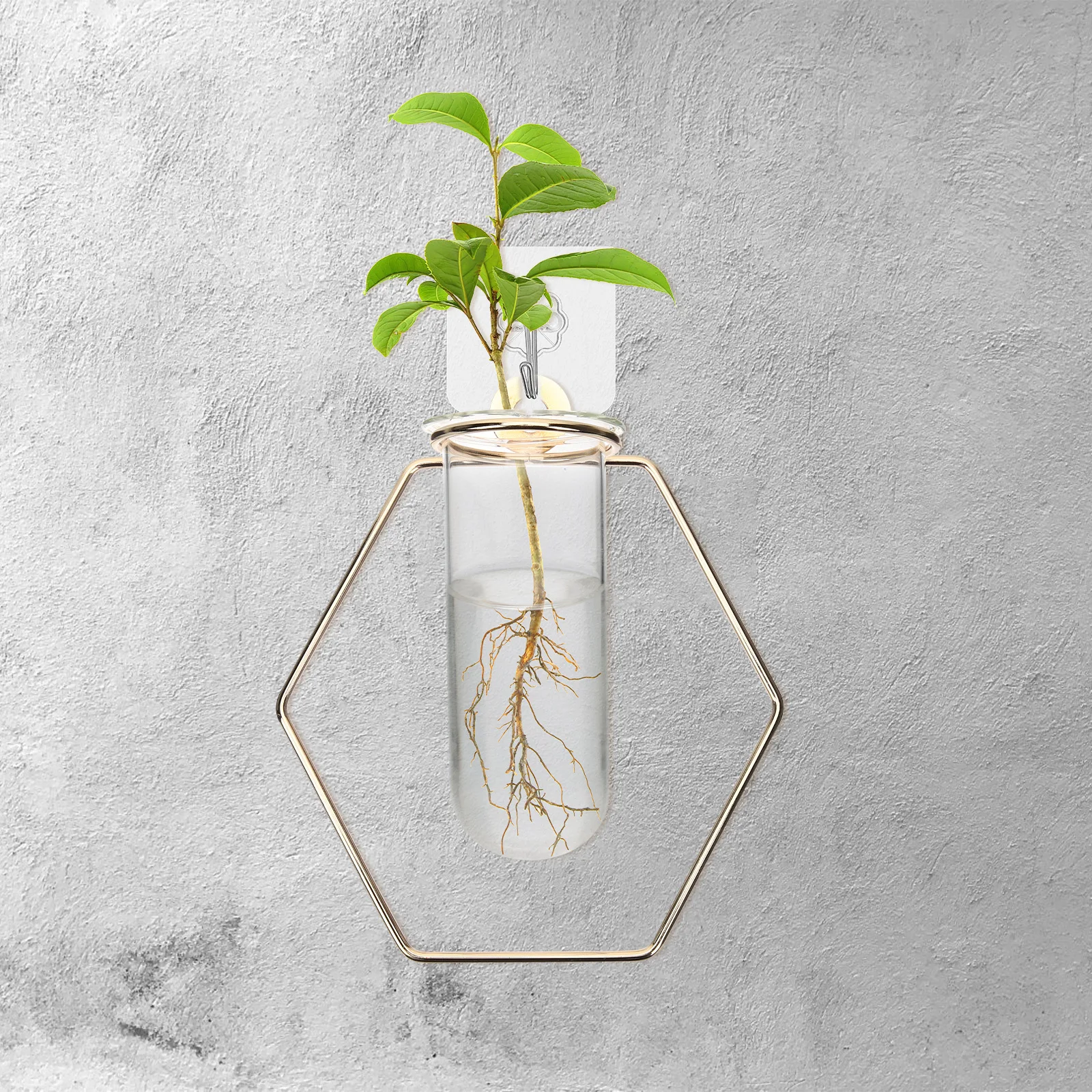 

Wall Flower Vase Glass Propagation Station Hanging Hydroponic Vase Durable Alloy Stand Indoor Plant Decoration Balcony Living