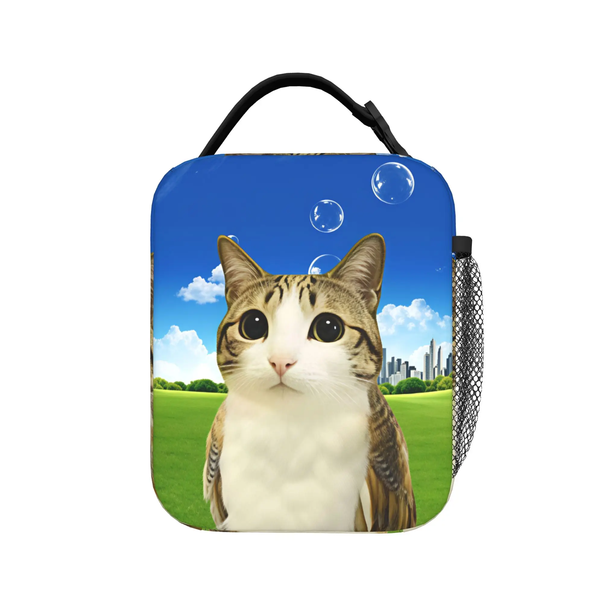 Cat Owl Funny  Lunch Bag  Leisure Lunch Box Outdoor Picnic Portable Tote Food Bags For Men Waterproof Custom Cooler Bag