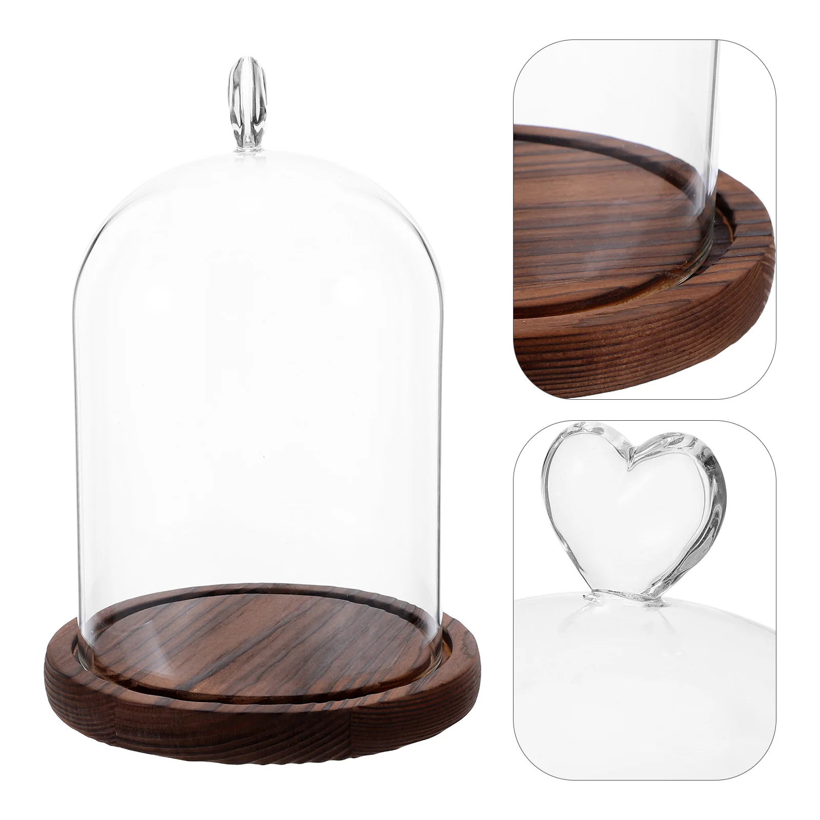 

Decorative Cloche Dome High Jar for Preserved Flowers DIY Crafts Holiday Table Centerpieces Home Office Display