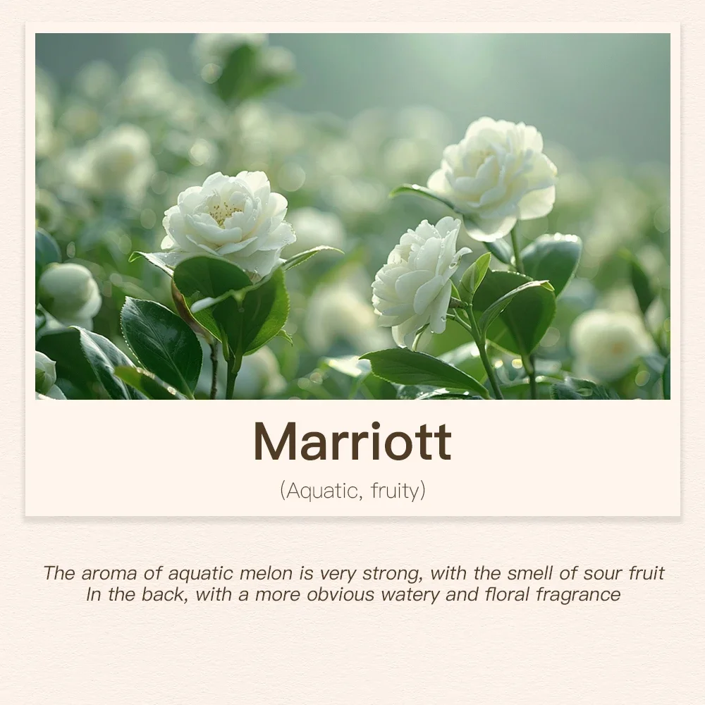 Variant: Marriott