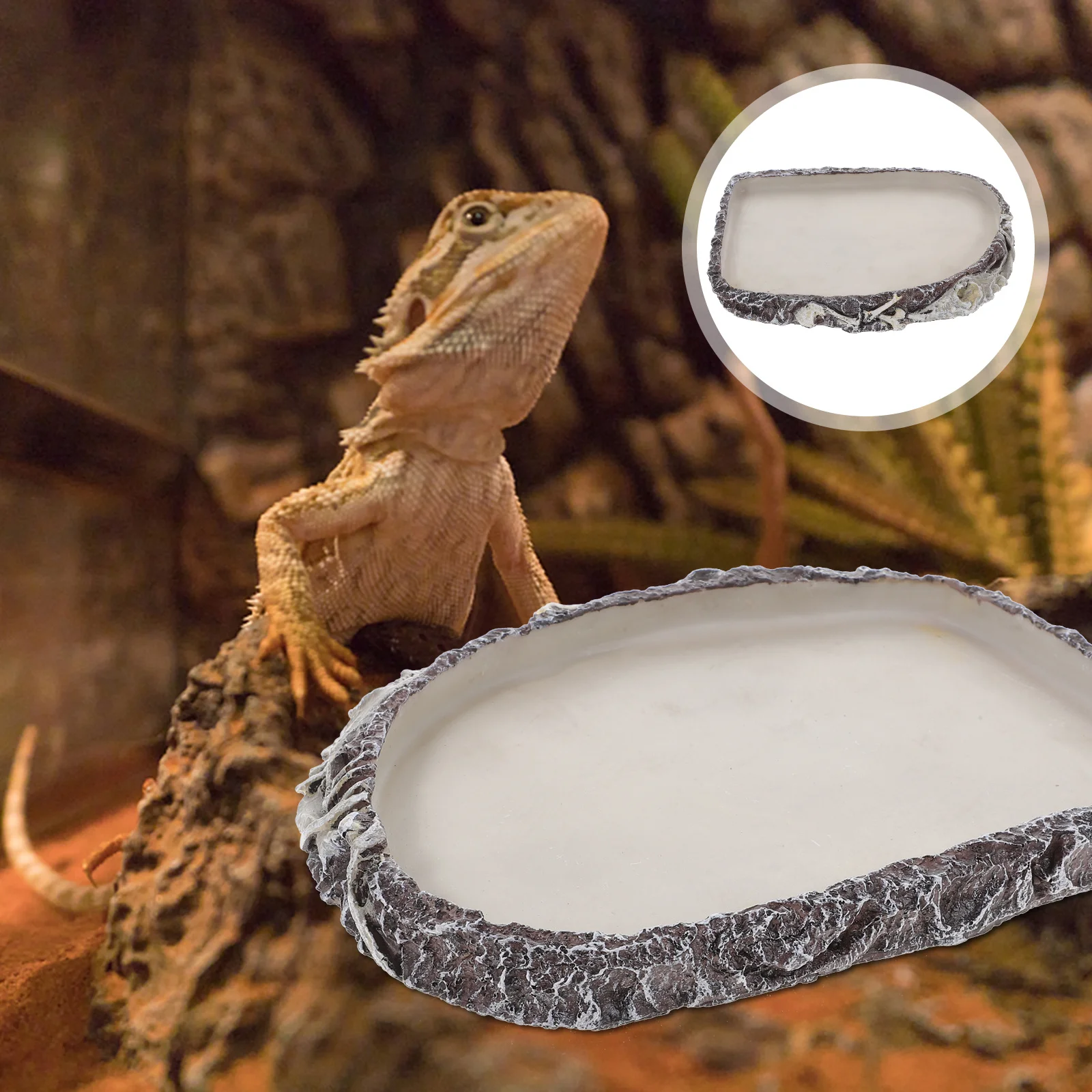 

Resin Reptile Water Basin Multi-Function Food Water Dish Safe Smooth Surface Feeding Bowl for Small Reptiles Turtle Iguana Snake