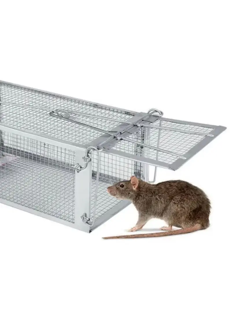 USA Mouse Trap Rat Trap Rodent Trap Live Catch Cage, Easy to Set Up and Reuse