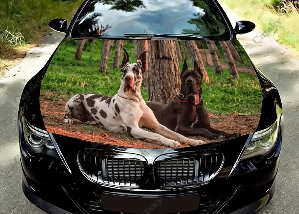 Great Dane Dogs Car Hood Vinyl Stickers Wrap PVC Film Hood Decals Auto Accessories General Car Modified Hood Decoration Protect