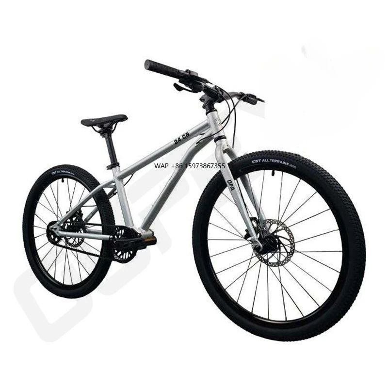 

Oufeya 5 Speed Bicycle Customized Hydraulic Disc Brake Fat Tire Aluminum Alloy Adults Bike