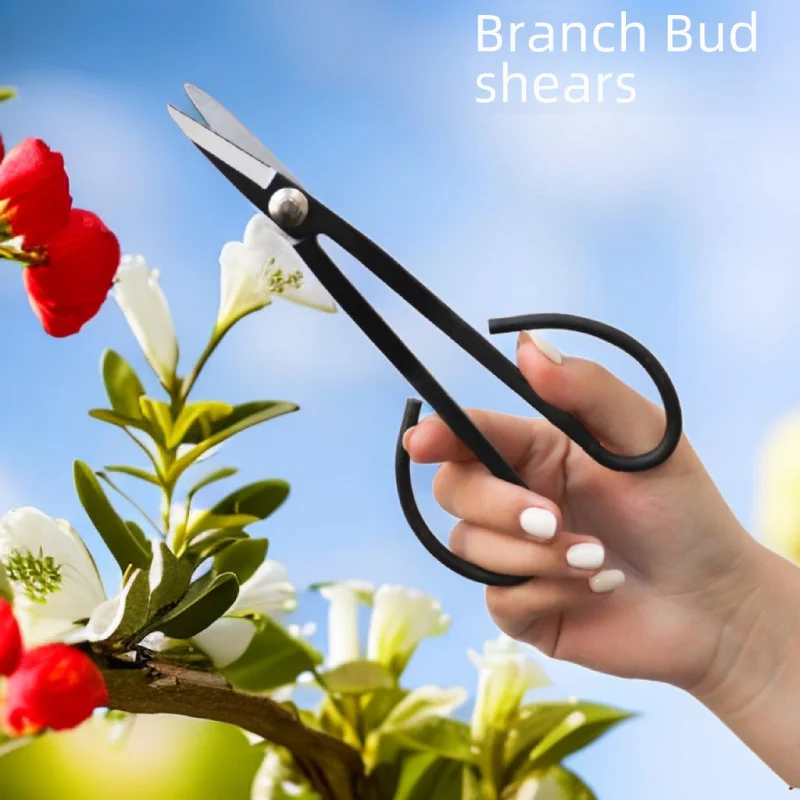 

Bonsai Bud Pruning Modeling Tool Leaf Bud Scissors Manganese Steel Orchid Seedling Scissors Bud Repair Trimming Branch Buds Scis