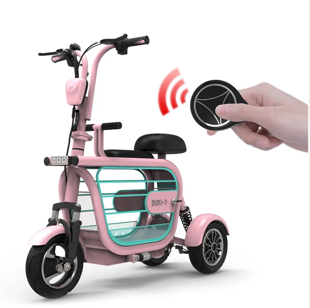 High Speed 10 Inch Tires 48V 400W 15Ah Battery Pet Dog Electric Scooter 3 Wheels Electric Moped With Pet Carrier custom