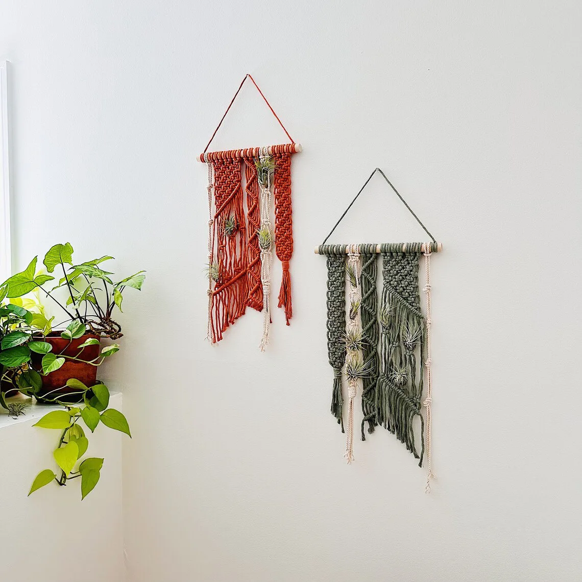 Macrame Air Plant Hanger Hanging Planter Wall Planter Indoor Basket Plant Hammock Pot Holder Boho Air Plant Hanger Tapestry