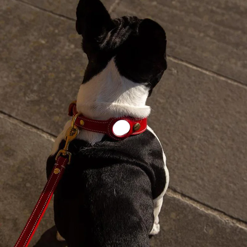 Ошейник из натуральной кожи для питомцев, Роскошный аксессуар с Airtag и держателем для защиты от потери, регулируемое ожерелье для средних и больших собак, щенков