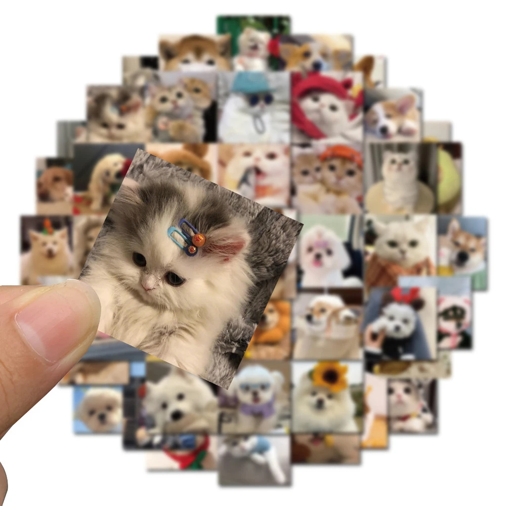 

10/30/52pcs Kawaii Pet Cat Dog Meme Stickers Cute Animals Cartoon Decals DIY Luggage Guitar Phone Funny Graffiti Decals Toy Gift