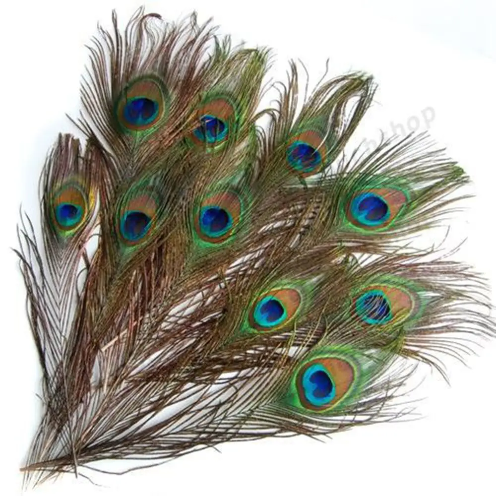 Decoration for Bouquet Wedding Parties Clothes Decals Peacock Eye Feathers Tail DIY Party Decor Natural Plume Artwork Ornaments