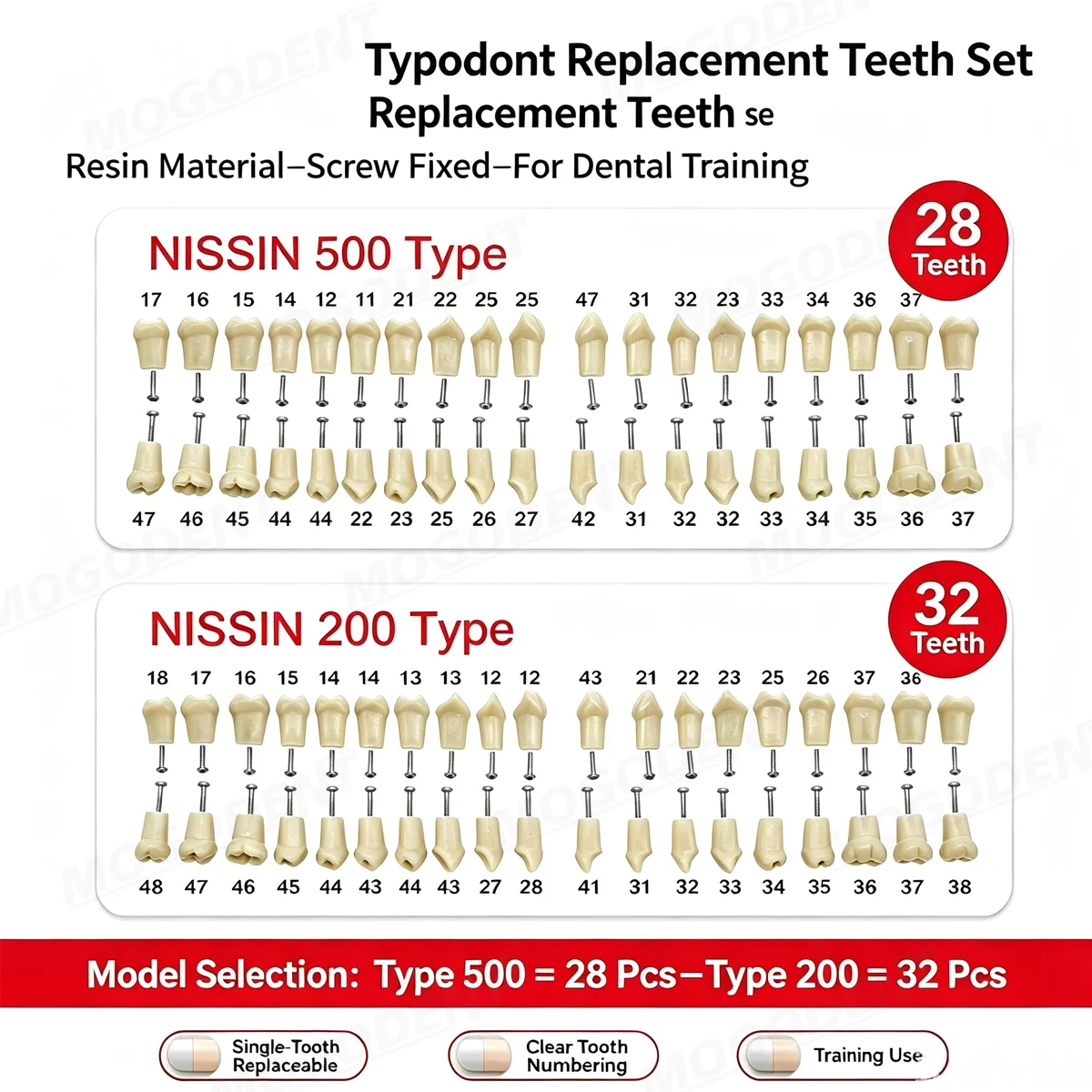 Dental Typodont Teeth Model With Removable 28/32 Screw-in Teeth Fit Nissin 200/500 Replacement Teeth For Dentistry Training