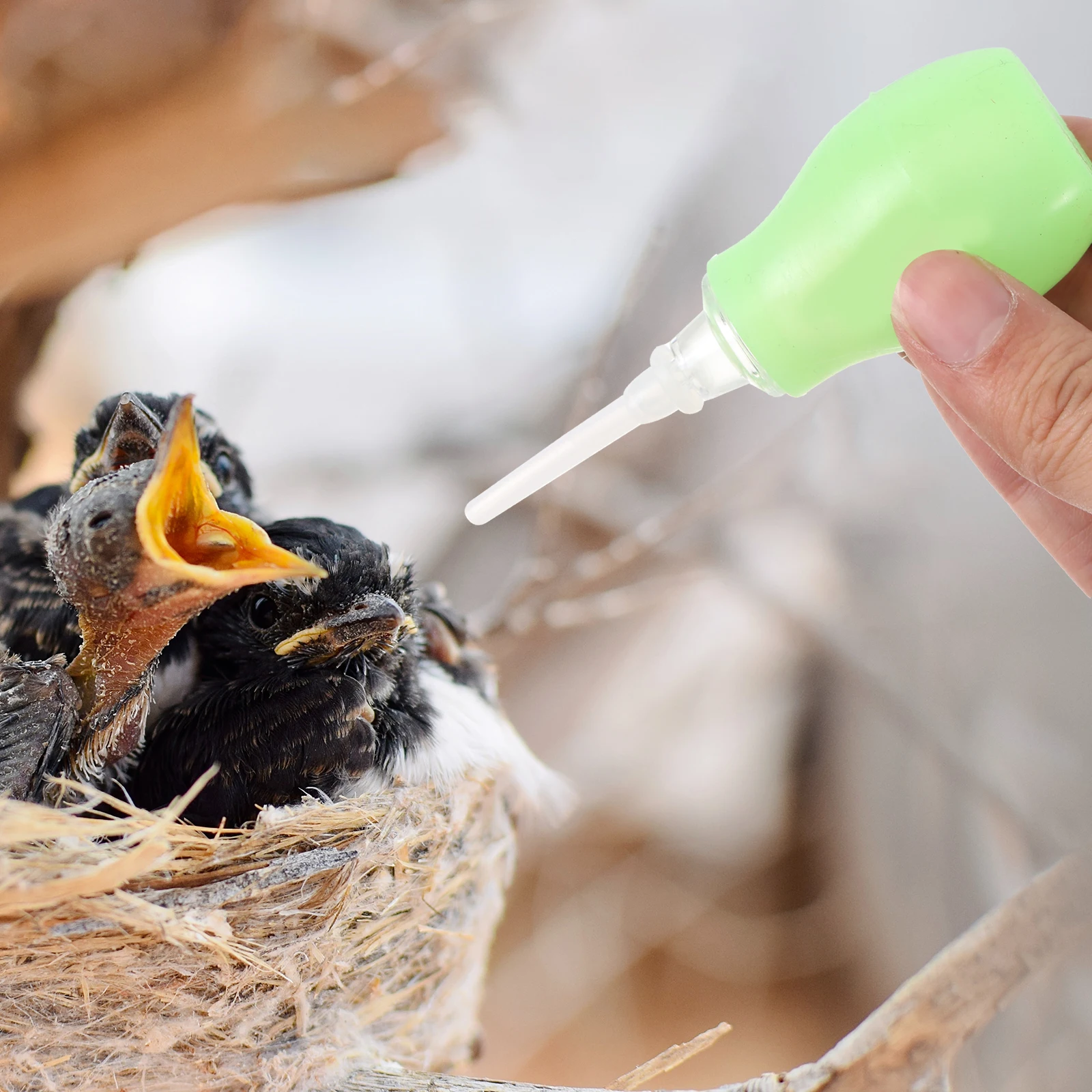 

Plastic Bird Tool Pigeon Feeder Supplies Green Color Pet Accessories Pet Bird Weaner Baby Animal Drinking Fountain