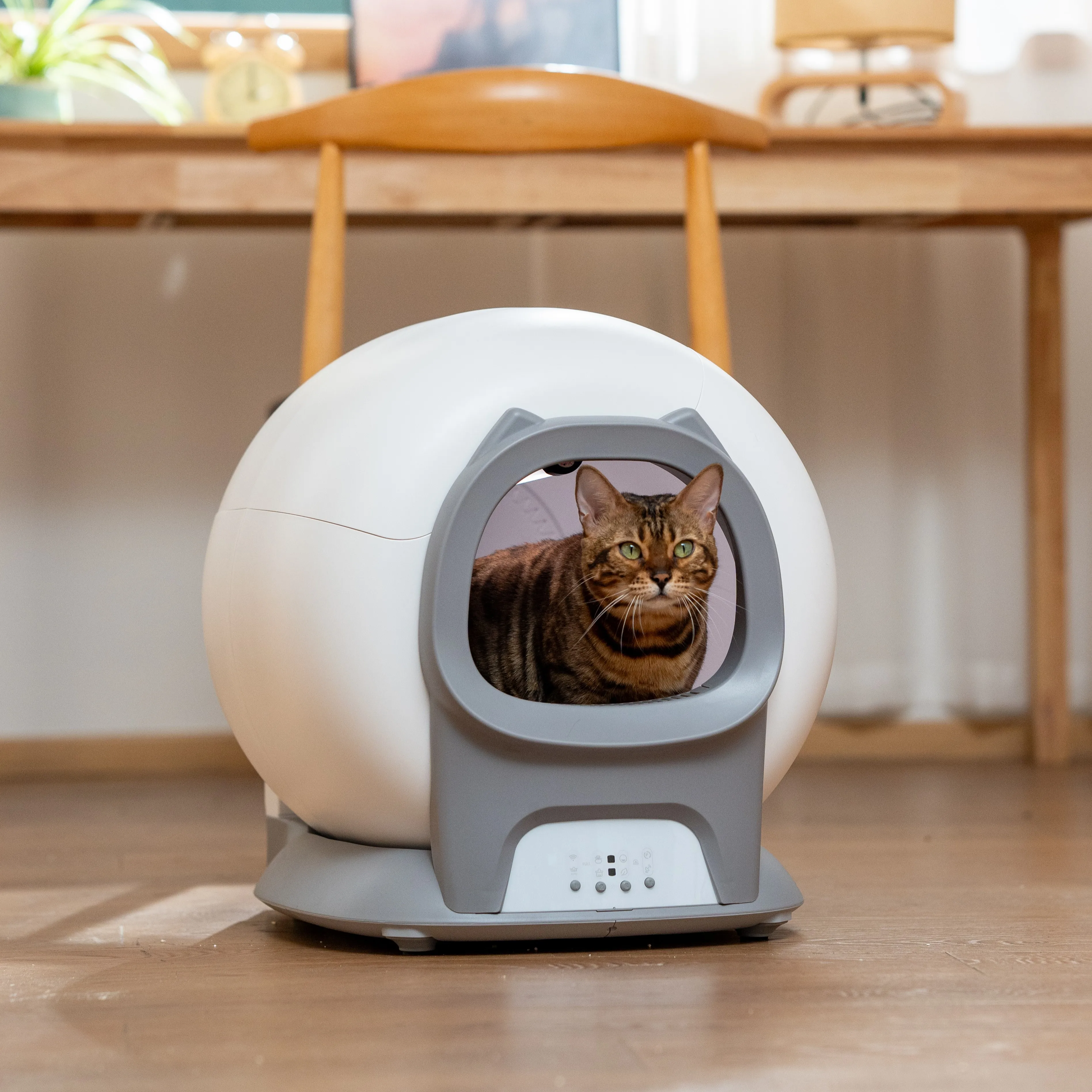 

STLF New Model Cat LitterS Box Automatic Self Cleaning Large Volume Odor Remove Cat Accessories Smart Toilet