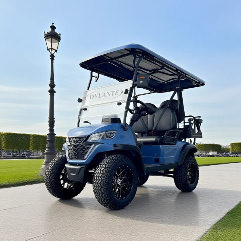 

New Design 2 4 6 Seats 5000W Motor Off-road Lifted Electric Golf Cart Buggy For Sale