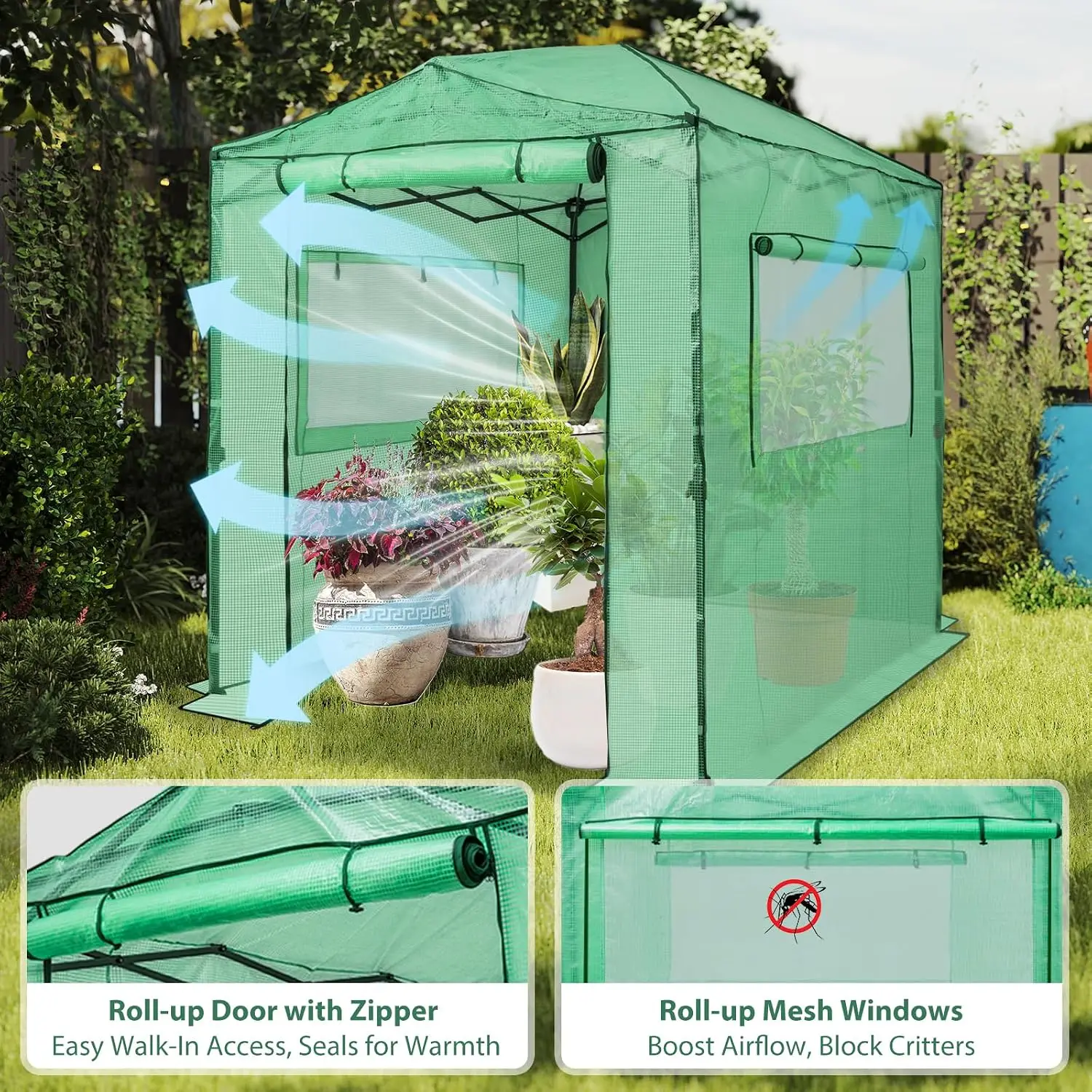 8x6 Portable Walk in Greenhouse, Pop Up Indoor Outdoor Greenhouse, Green House Kit with Zippered Roll-Up Doors and Windows, PE C