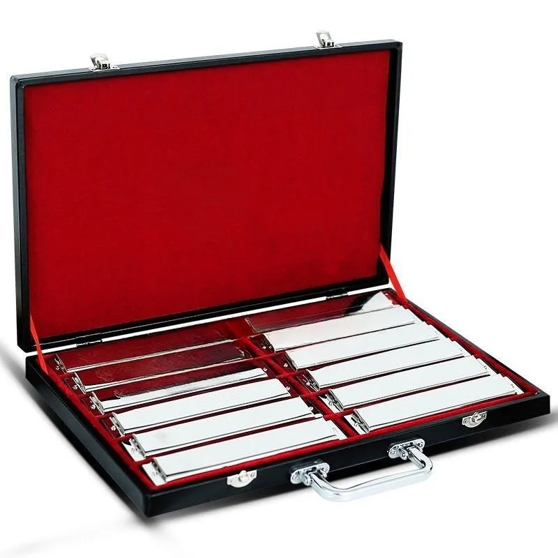 24 Hole Harmonica Set 12 key strumming instrument