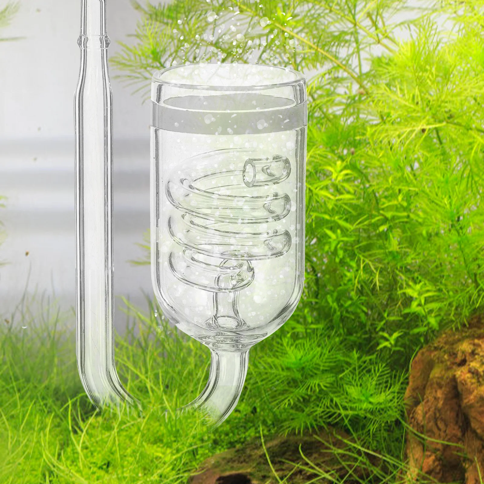 

1Set Aquarium Co2 Diffuser Wear-Resistant Suction Cup Fish Tank Air Bubbler Practical Tool Diffuser Co2