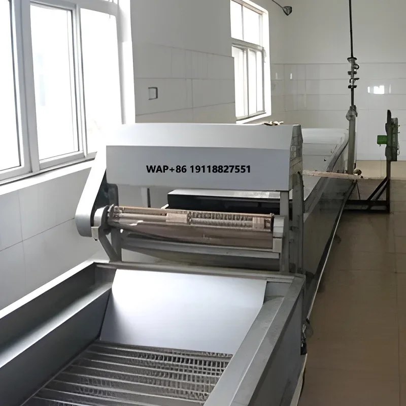 Industrial Vegetable Cleaning Machine Factory Supply Price for Spinach Scallions Leeks Efficient Spray Vegetable Washing System