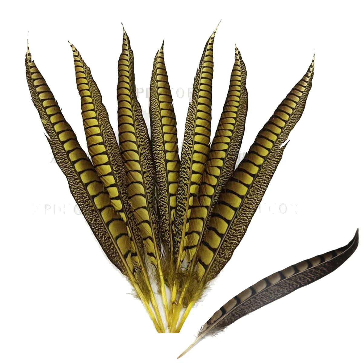 ZPDECOR 70-120cm/28-48 Inch Lady pheasant Feathers 100 pieces per pack for DIY Feather Handicrafts