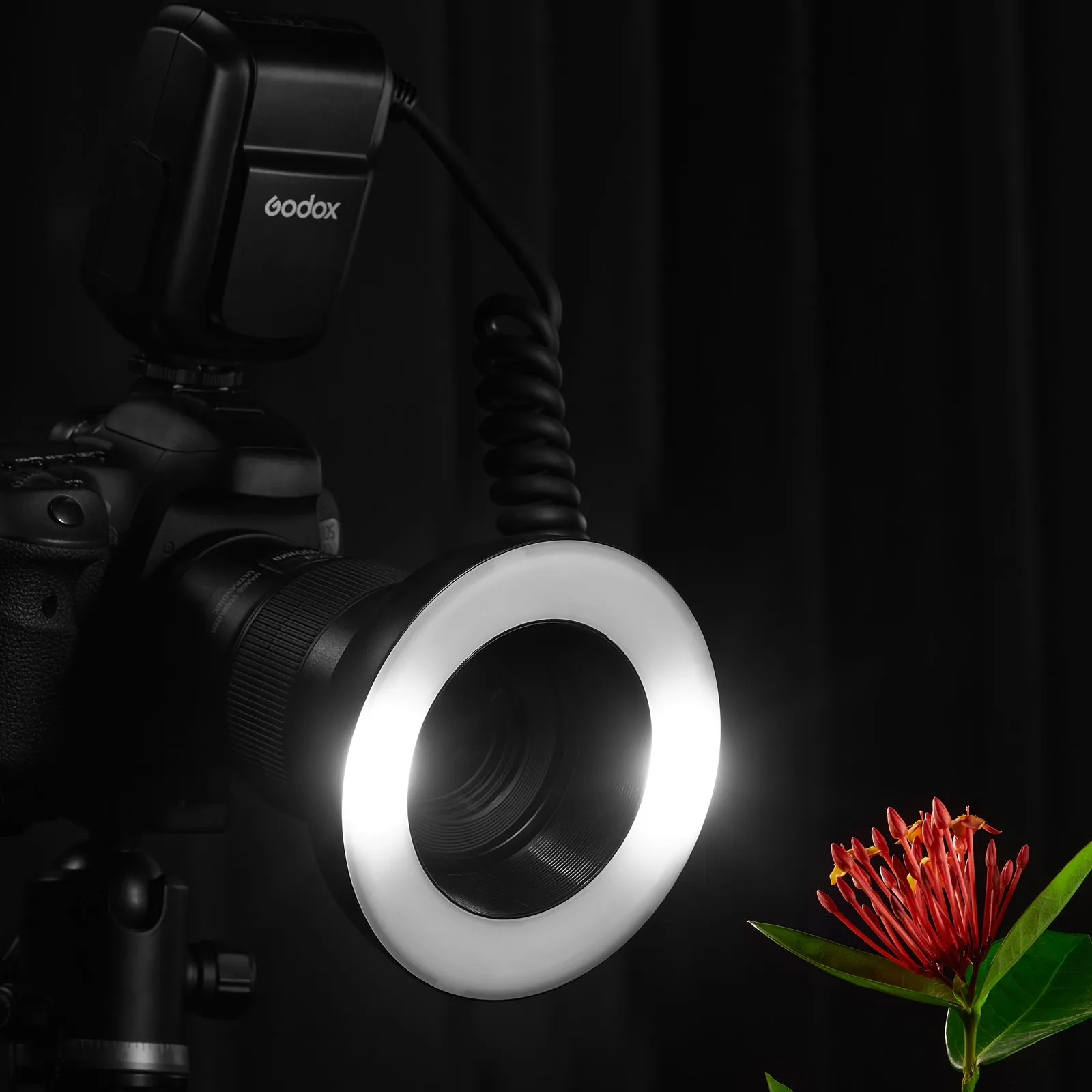 Godox MF-R76 RING76 5000K Macro LED Anneau Lumineux Speedlite Flash Light pour Sony IL Nikon Appareil Photo 5D 6D 7D 60D 70D 80D D850 A7MIV