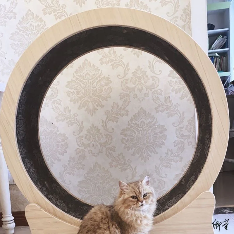 

Roller Treadmill Indoor Roller Ragdoll Cat Sports Toy Cat Climbing Frame Solid Wood Exercise