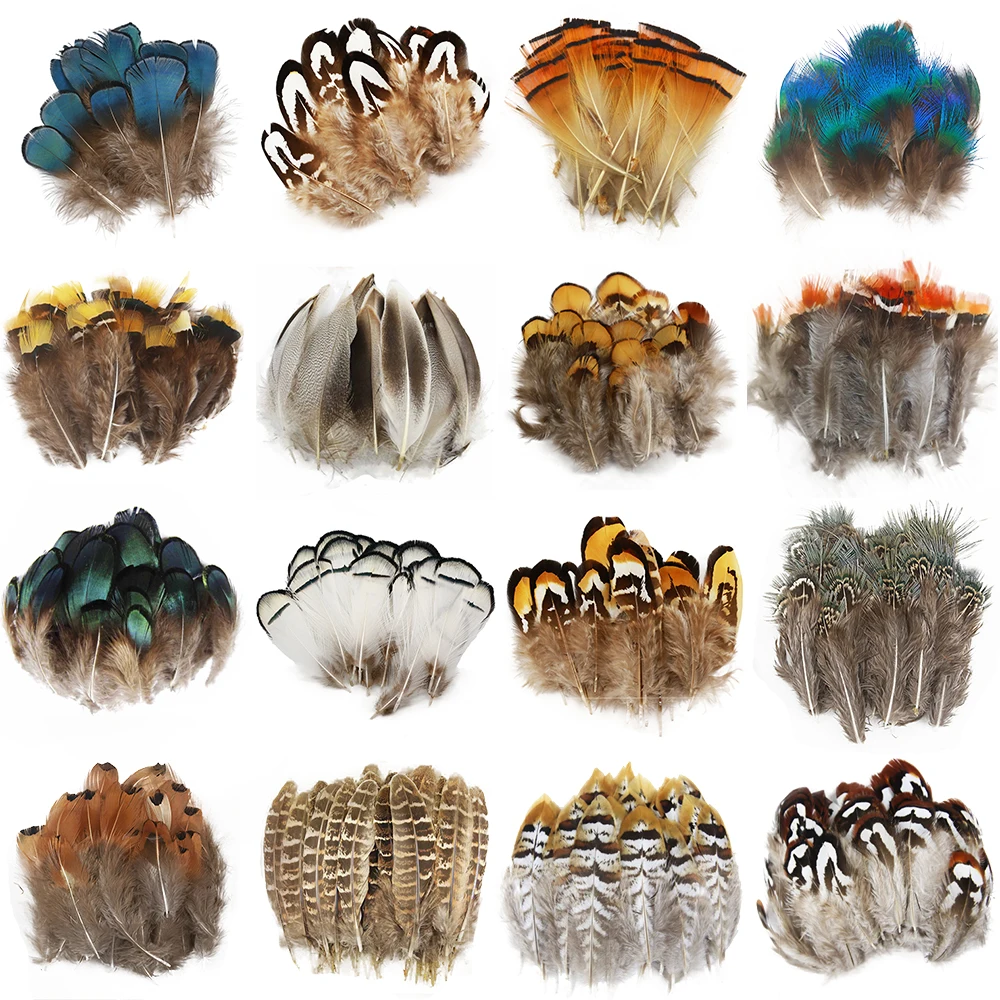 Petites plumes de faisan à Plume, couleur pour décoration artisanale, mariage, carnaval, bricolage