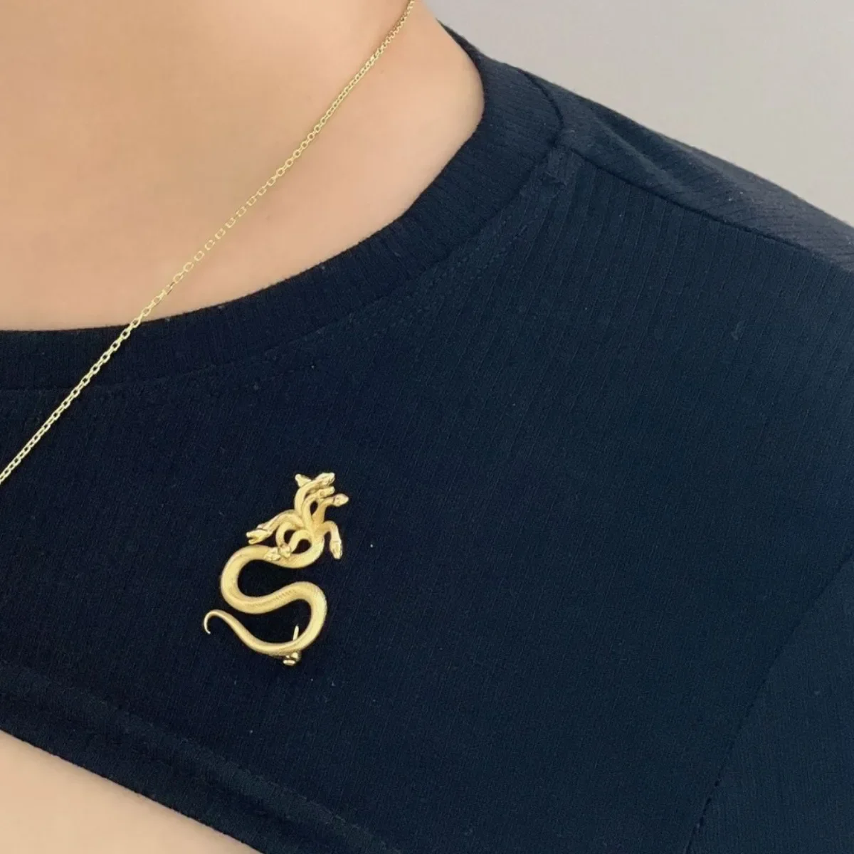 Shanhaijing Hydra Phase Liu Retro Brooch Fashion Pin Joker Daily Wear Pins
