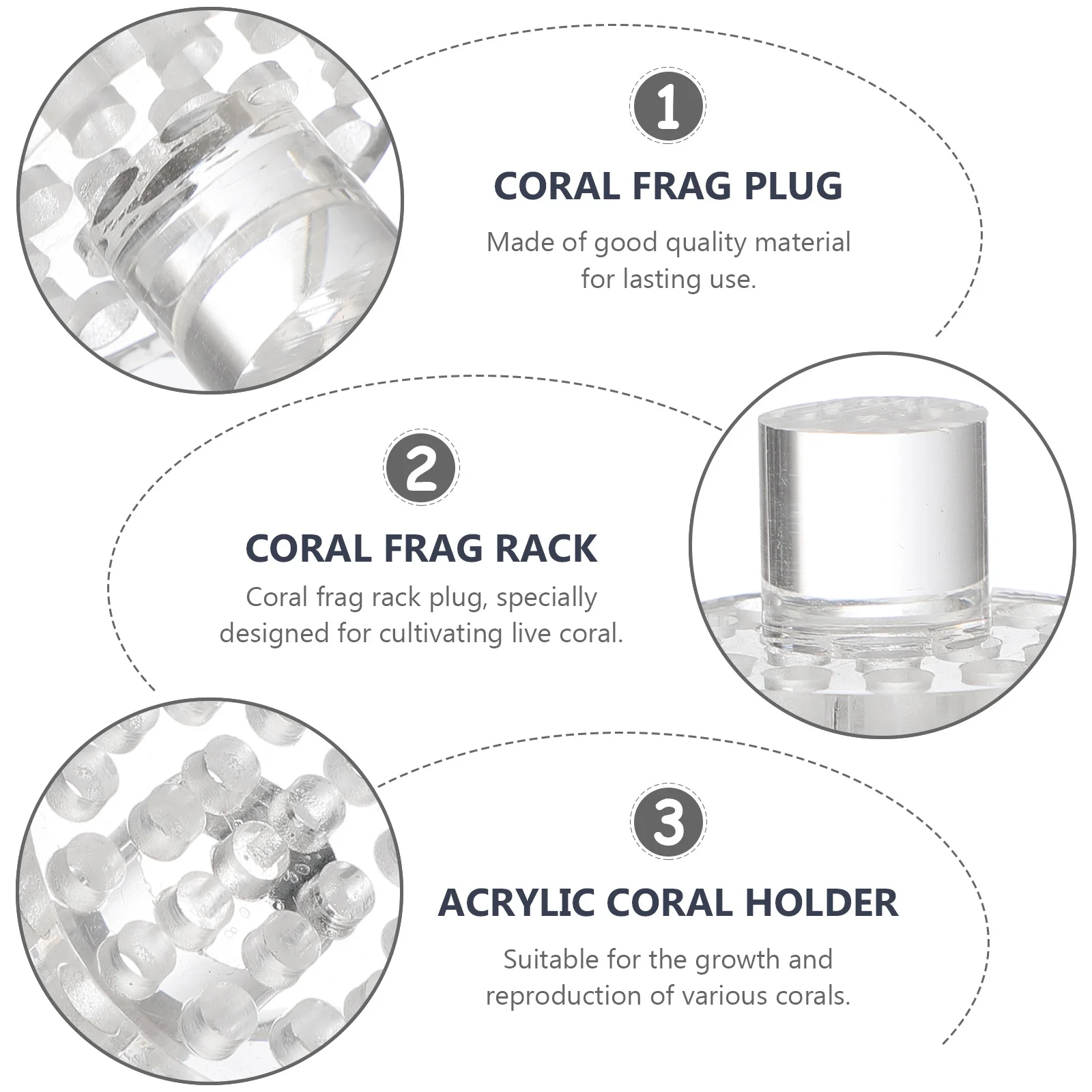 

5pcs Rack Holder Base Plug for Aquarium Tank Live Coral Acrylic Coral Holder Plug Growth Decor Accessories