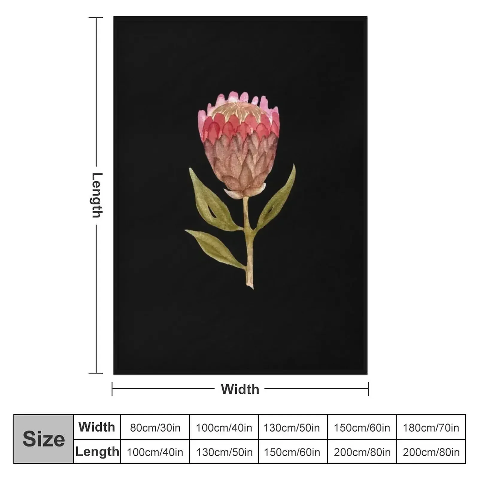 Watercolor protea illustration on black background Throw Blanket couch cozy soft plush fuzzy picnic outdoor blanket
