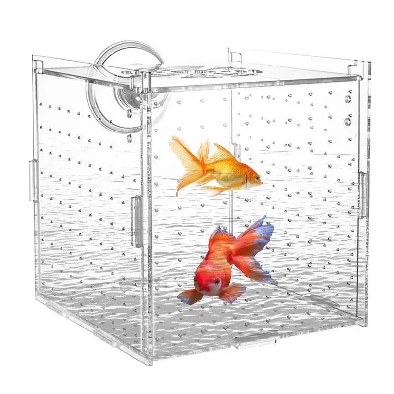 Fish Breeder Box For Aquarium Fish Breeding Box With Suction Cups Clear Nursery Divider Container Hatchery Incubator For Betta