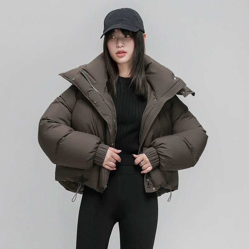 Fluffy Warm Hooded Jacket for Women, Stand-up Collar, Leisure Parka, Korean Department of Matching, New, 2024