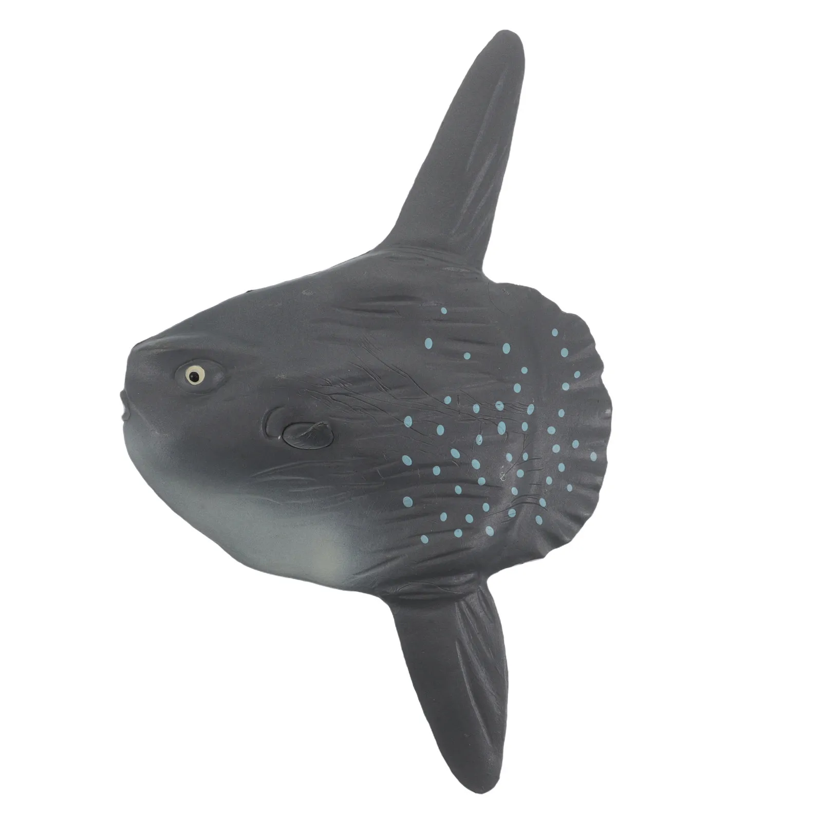 Sunfish Realistic Marine Animal Simulation Ocean Learning Playroom Decoration Educational Sea Creatures Science Classroom