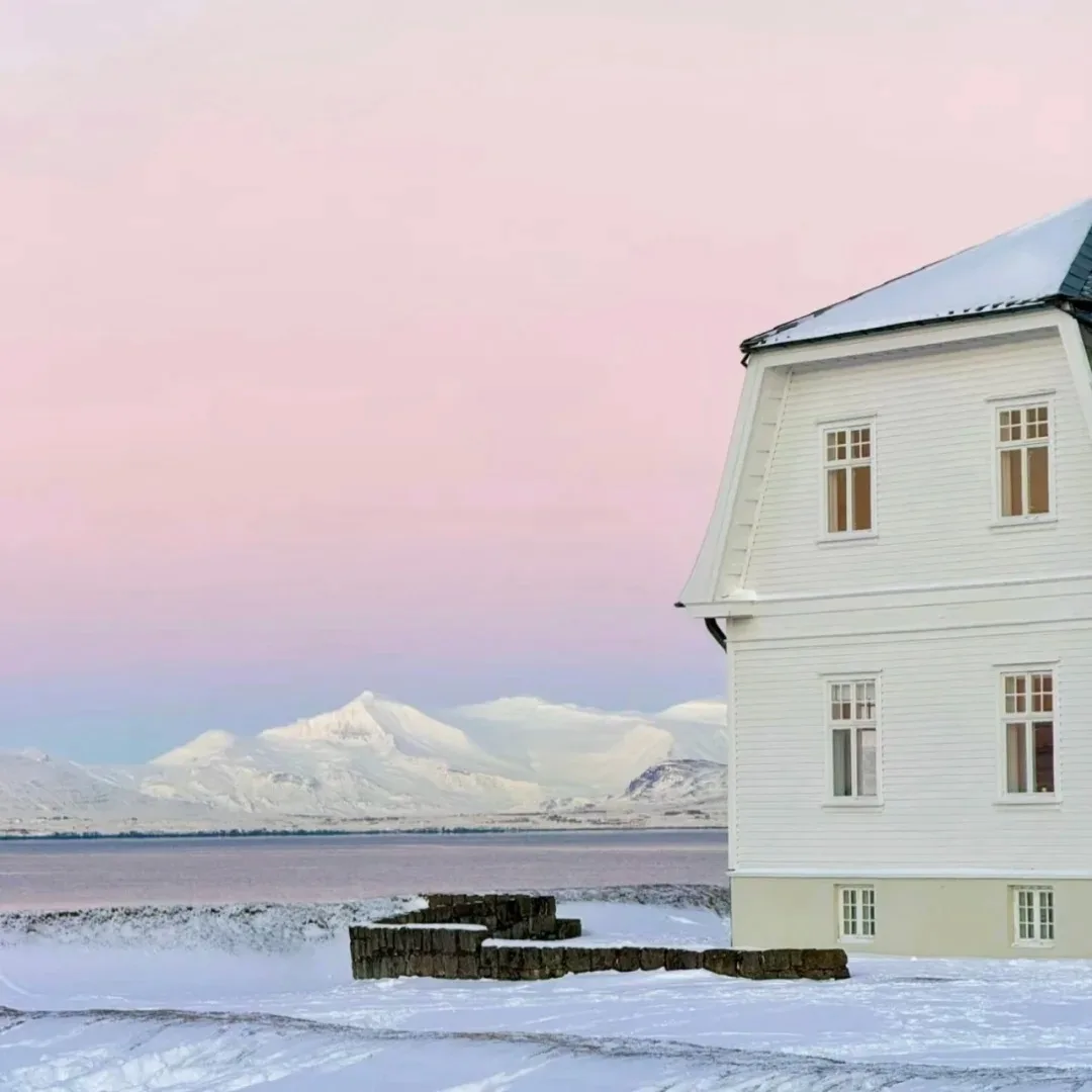 

New 5 in 1 Portable Scalp Analysis Machine Skin Test Analyzer Skin and Hair Follicle Detection Equipment for Salon Clinic Use