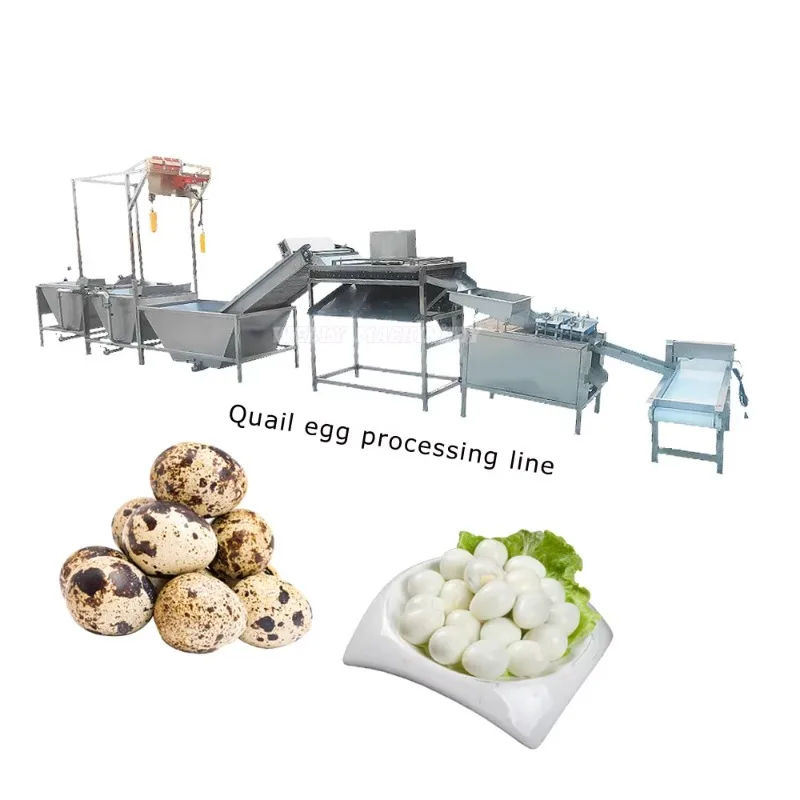 Factory Sale Boiled Quail Egg Cracking Shell Breaking Peeling Sorting Machine Quail Egg Cooking Cracking Line