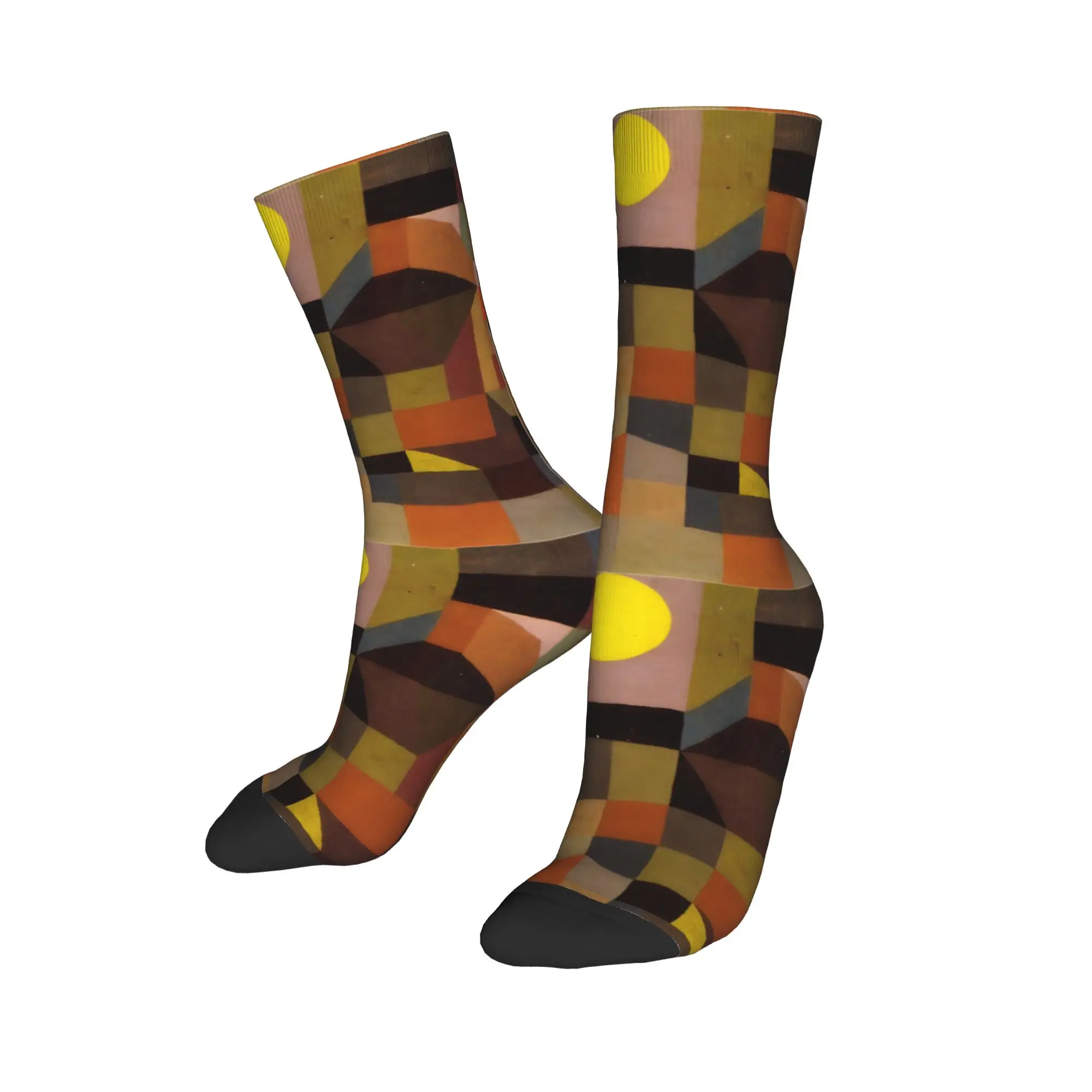 Autumn Winter Crazy Design Women Men Paul Klee The Hour Before One Night  Socks  Sweat Absorbing Basketball Socks