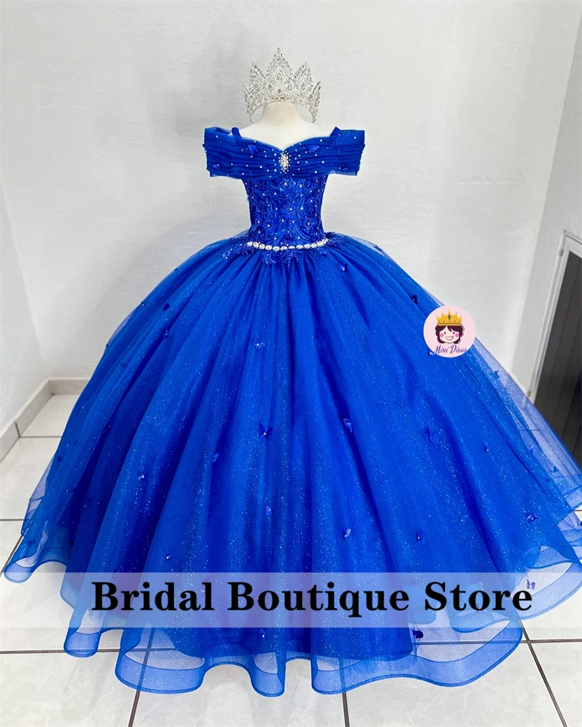 

Princess Royal Blue Flower Girls Dresses Applique Butterfly Dimoands Beads Pageant Dresses For Child Girls Corset Gown Customize